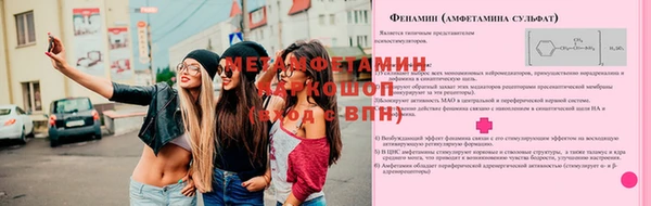 амф Пестово
