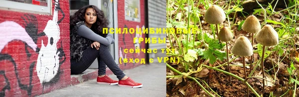 бошки Пересвет