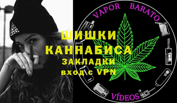 соль ск Осташков