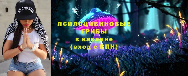 соль ск Осташков