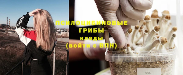 mdpv Нязепетровск