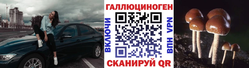 Псилоцибиновые грибы мицелий  где продают наркотики  Куйбышев 