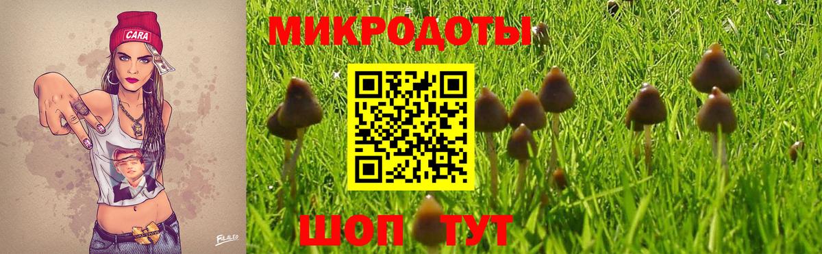 где купить наркоту  Вход с VPN  Куйбышев  Псилоцибиновые грибы прущие грибы 