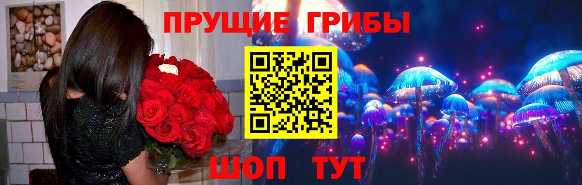 Галлюциногенные грибы Magic Shrooms Куйбышев